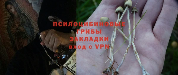 гашиш Богданович