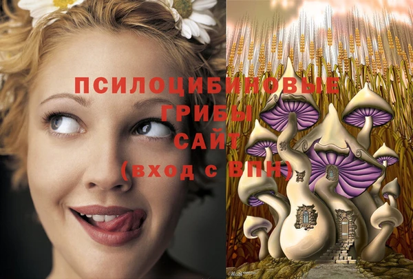 таблы Богородицк
