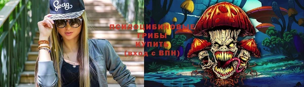 гашиш Богданович