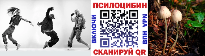 Псилоцибиновые грибы мицелий  Трёхгорный 